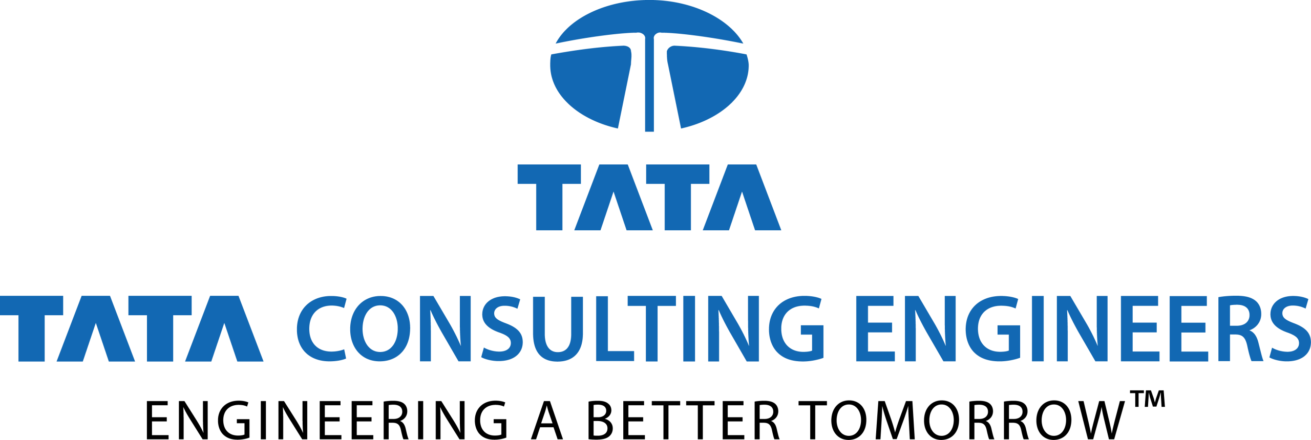 Tata Consulting Engineers logo